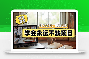 网赚真谛,学会就可以永远不缺项目,轻松月入过万,提高小白认知!