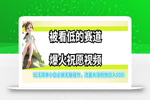 被看低的赛道爆火祝愿视频,玩法简单小白必做无脑操作,流量大涨粉快日入500