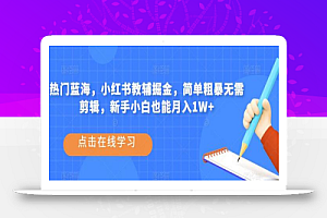 热门蓝海,小红书教辅掘金,简单粗暴无需剪辑,新手小白也能月入1W+