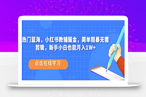 热门蓝海，小红书教辅掘金，简单粗暴无需剪辑，新手小白也能月入1W+