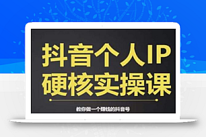 个人IP创富系统实战课,商业定位,流量打造,短视频变现,教你做个赚钱的抖音号