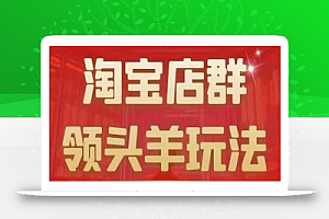 九栢米-淘宝店群领头羊玩法,教你整个淘宝店群领头羊玩法以及精细化/终极蓝海/尾销等内容