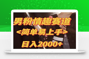 日入2000+最新版本男粉情趣私欲变现项目