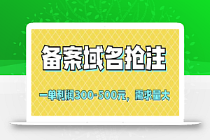 备案域名抢注,一单利润300-500元,需求量大