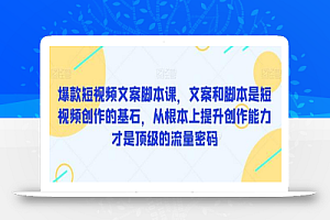 爆款短视频文案脚本课,文案和脚本是短视频创作的基石,从根本上提升创作能力才是顶级的流量密码