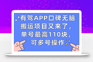 有驾APP口碑无脑搬运项目又来了,单号最高110块,可多号操作