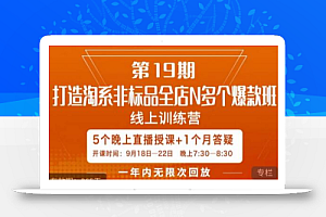 打造淘系非标全店N多个爆款线上课,5天直播课