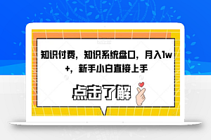知识付费,知识系统盘口,月入1w+,新手小白直接上手