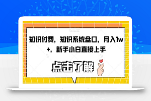 知识付费，知识系统盘口，月入1w+，新手小白直接上手