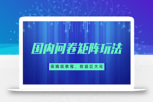保姆级教程,国内问卷矩阵玩法,轻松赚收益