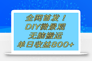 全网首发冷门赛道!DIY微景观,无脑搬运视频,日收益800+