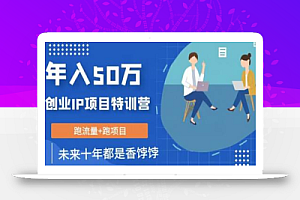 创业IP年入50W核心方法,未来10年最值得做的项目
