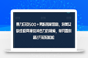 暴力日引500+男粉独家思路,将美女做成极具视觉冲击力的视频,单月盈利超2万轻轻松松