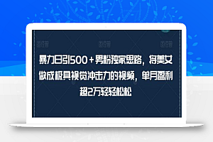 暴力日引500＋男粉独家思路，将美女做成极具视觉冲击力的视频，单月盈利超2万轻轻松松