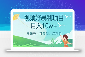 视频号暴利项目,多账号,可复制,红利期,月入10w+