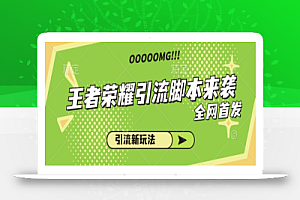 网首发王者荣耀引流脚本来了,各行各业都能拿去做引流