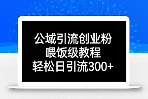 公域引流创业粉,喂饭级教程,轻松日引流300+