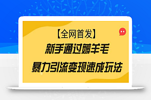 【全网首发】新手通过薅羊毛暴力引流变现速成玩法