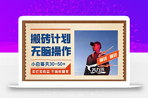 搬砖计划,小白无脑操作每天利润30-50+,完全无脑,不存在封号