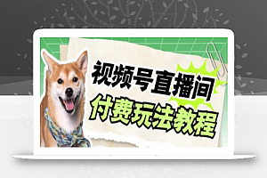 视频号美女付费无人直播,轻松日入500+【详细玩法教程】