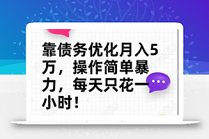 靠债务优化月入五万,每天只要花两个小时,多种方式轻松变现