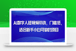AI数字人短视频带货,门槛低,适合新手小白可做的项目