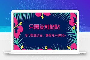 只需复制粘贴,冷门答题项目,轻松月入6000