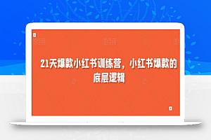 21天爆款小红书训练营,小红书爆款的底层逻辑