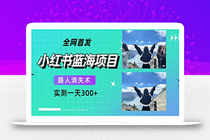 全网首发,小红书蓝海项目,路人消失术,实测一天300+(教程+工具)