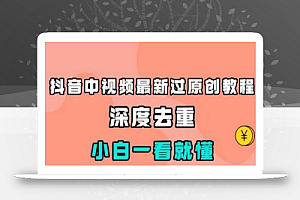 抖音中视频最新过原创教程,深度去重,小白一看就懂