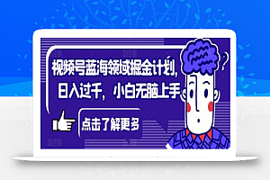 视频号蓝海领域掘金计划,日入过千,小白无脑上手