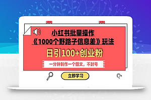 小红书批量操作《1000个野路子信息差》玩法,一分钟制作一个图文,不封号,日引100+创业粉