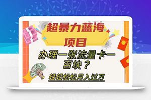 超暴力蓝海项目,办理一张流量卡一百块?轻轻松松月入过万,保姆级教程