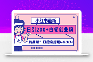 小红书最新日引200+创业粉”割韭菜“日稳定变现4000+实操教程！