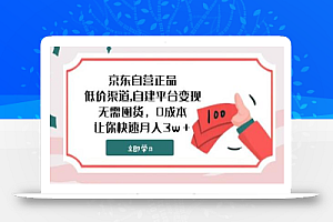京东自营正品,低价渠道,自建平台变现,无需囤货,0成本,让你快速月入3w+