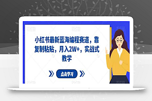 小红书最新蓝海编程赛道,靠复制粘贴,月入2W+,实战式教学