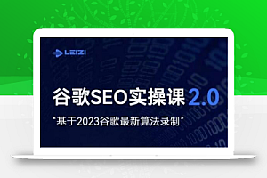 雷子·谷歌SEO 2.0实战课,独立站询盘自由必备,基于2023谷歌最新算法录制