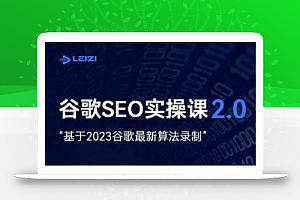 雷子·谷歌SEO 2.0实战课，独立站询盘自由必备，基于2023谷歌最新算法录制