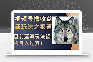 视频号撸收益新玩法之狼道,目前蓝海玩法轻松月入过万!