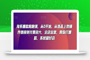 淘系爆款陪跑课,从0开始,从选品上架操作链接到付费放大、全店运营,教你打爆款、系统做好店