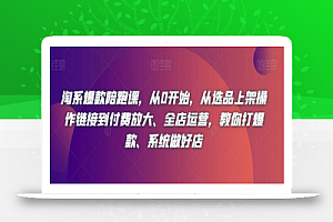 淘系爆款陪跑课，从0开始，从选品上架操作链接到付费放大、全店运营，教你打爆款、系统做好店