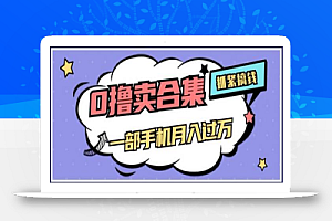 0撸项目月入过万,售卖全套ai工具合集,一单29.9元,一部手机即可