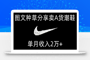 靠图文种草分享卖A货潮鞋,每天一小时,单月收入2万+