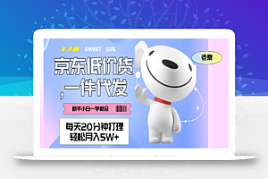 每天20分钟打理京东低价货,一件代发-轻松月入5W+