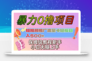 暴力0撸项目：短视频推广流量卡轻松日入500+，保姆级教程新手小白无脑上手