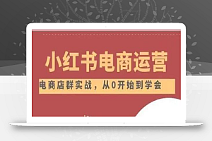 小红书店铺运营从小白到大神2.0,从入门到精通