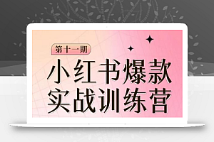 小红书博主爆款训练营第11期,手把手教你从0-1做小红书,从定位到起号到变现