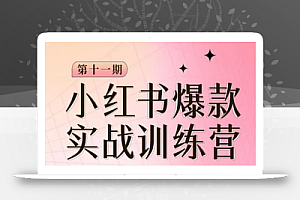 小红书博主爆款训练营第11期，手把手教你从0-1做小红书，从定位到起号到变现