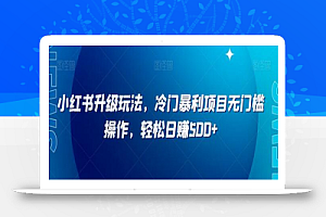 小红书升级玩法,冷门暴利项目无门槛操作,轻松日赚500+