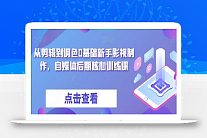 从剪辑到调色0基础新手影视制作,自媒体后期核心训练课